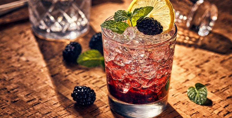 Blackberry and Mint Gin Cocktail