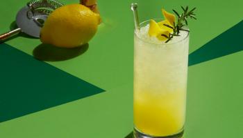 Many Genres of Gin